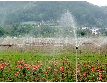 花卉种植灌溉工程