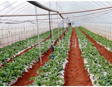 蔬菜大棚灌溉系统